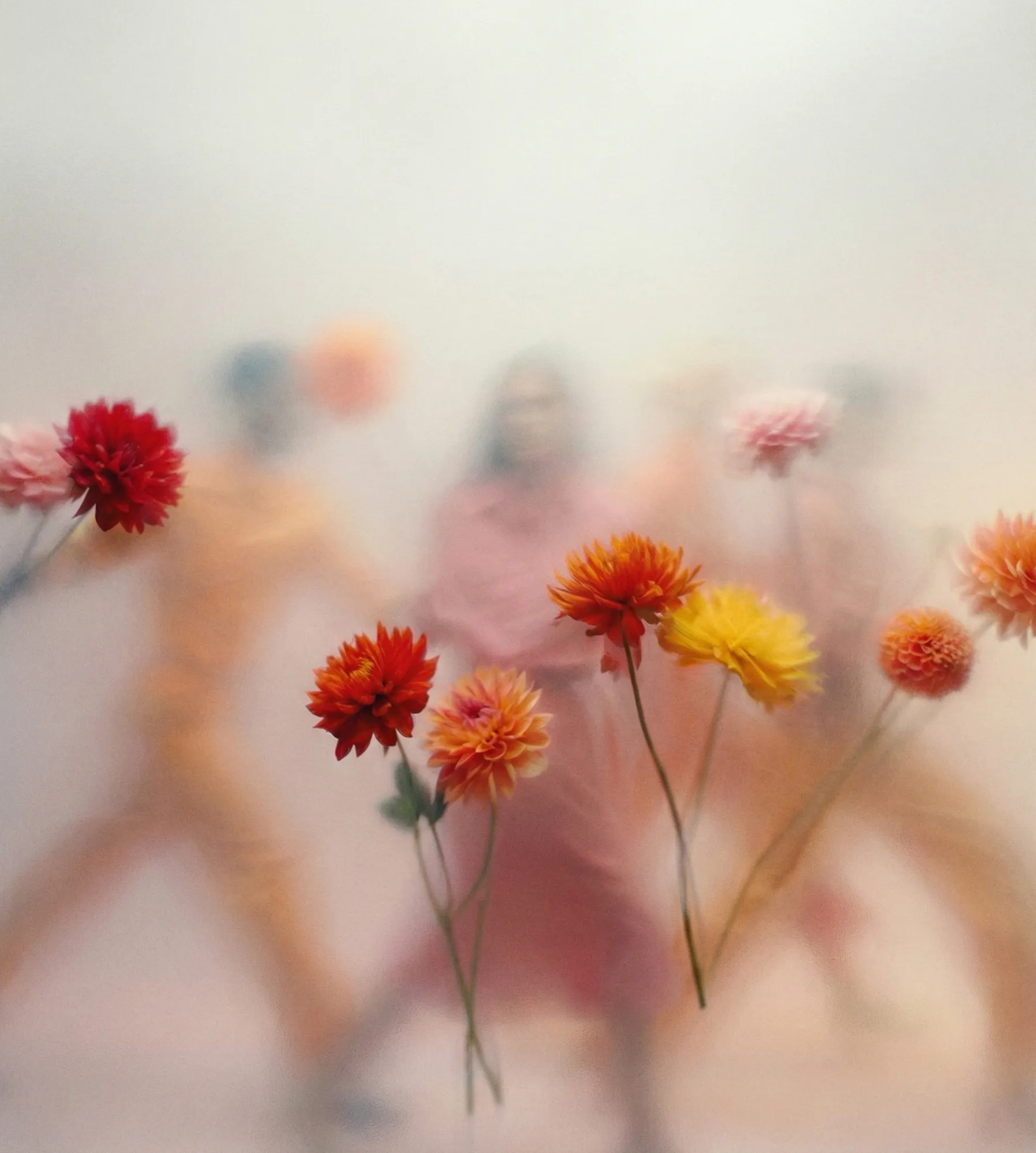 Mirage mood image featuring blurred model silhouettes in a smoky haze, framed by flowers in the foreground and background.